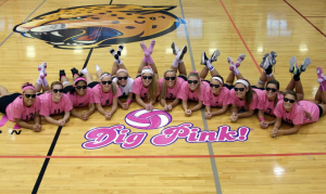 Marketing Dig Pink