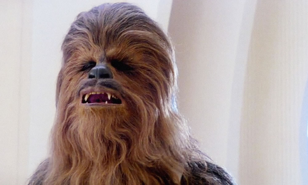 Chewbacca