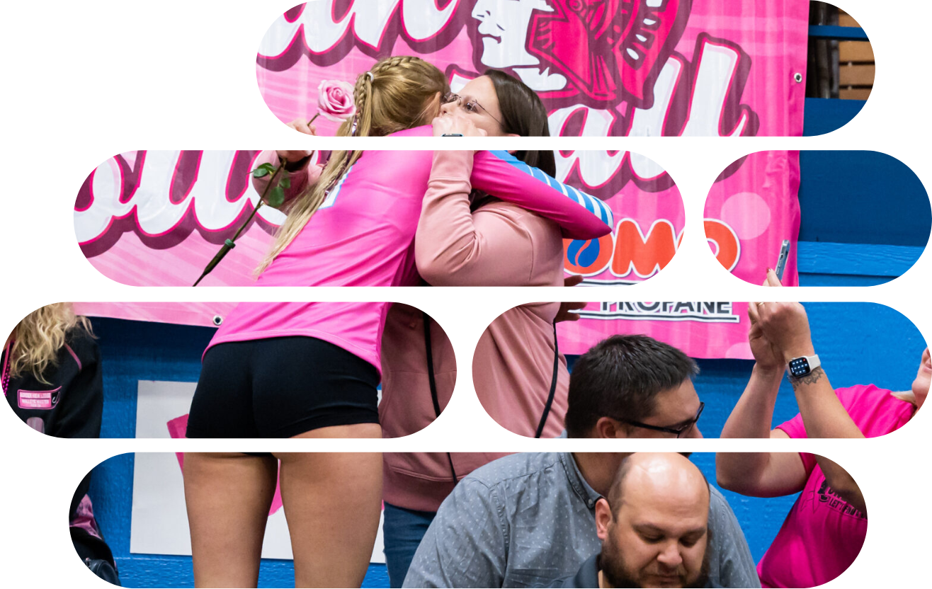 Dig Pink Image Spartan Volleyball
